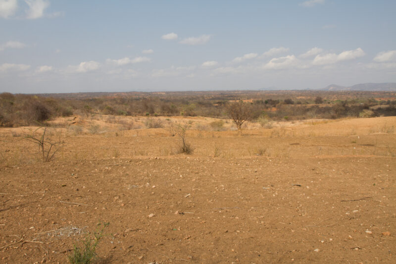 Drought in Kenya — Stock Images of Climate change in Keny leading to years of drought and desertification — Kenya, drought