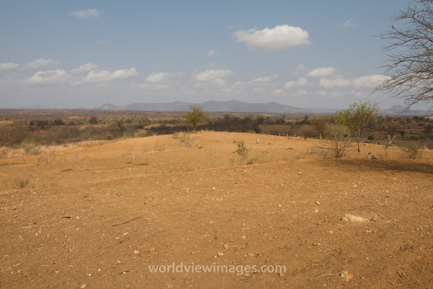 Drought in Kenya