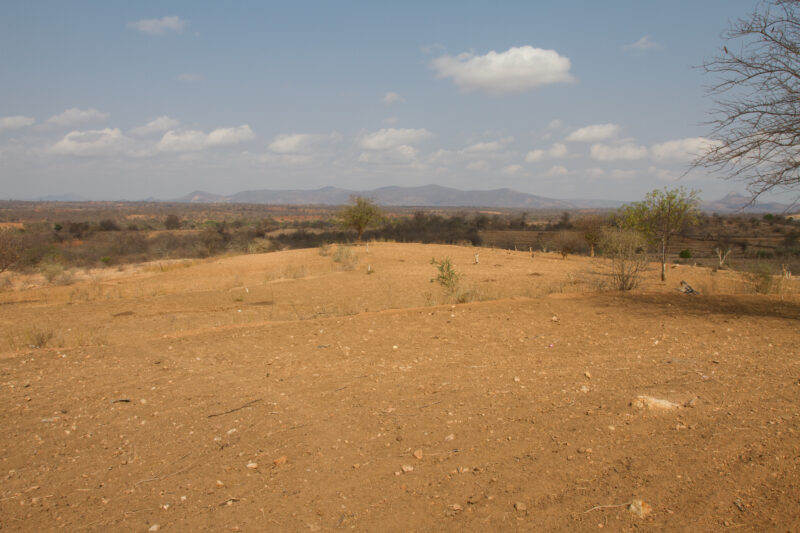 Drought in Kenya — Stock Images of Climate change in Keny leading to years of drought and desertification — Kenya, drought