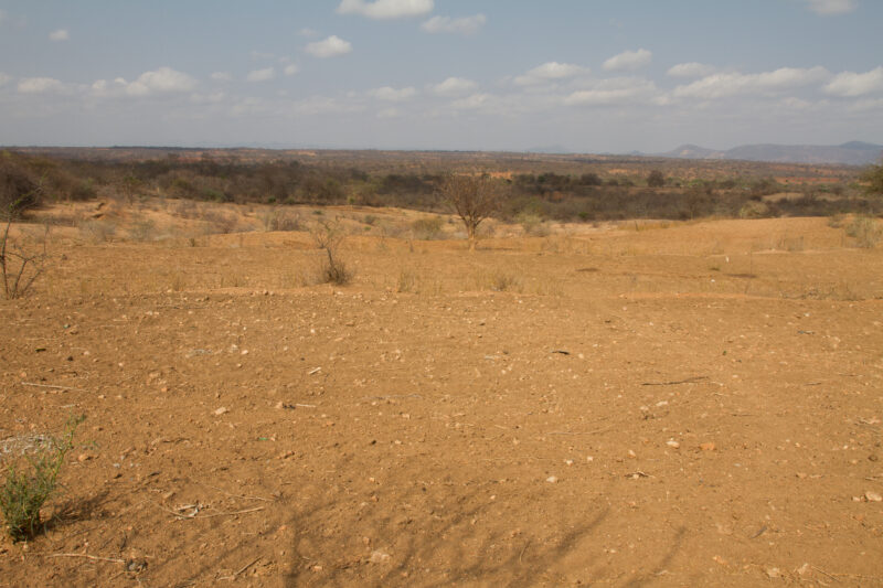 Drought in Kenya — Stock Images of Climate change in Keny leading to years of drought and desertification — Kenya, drought