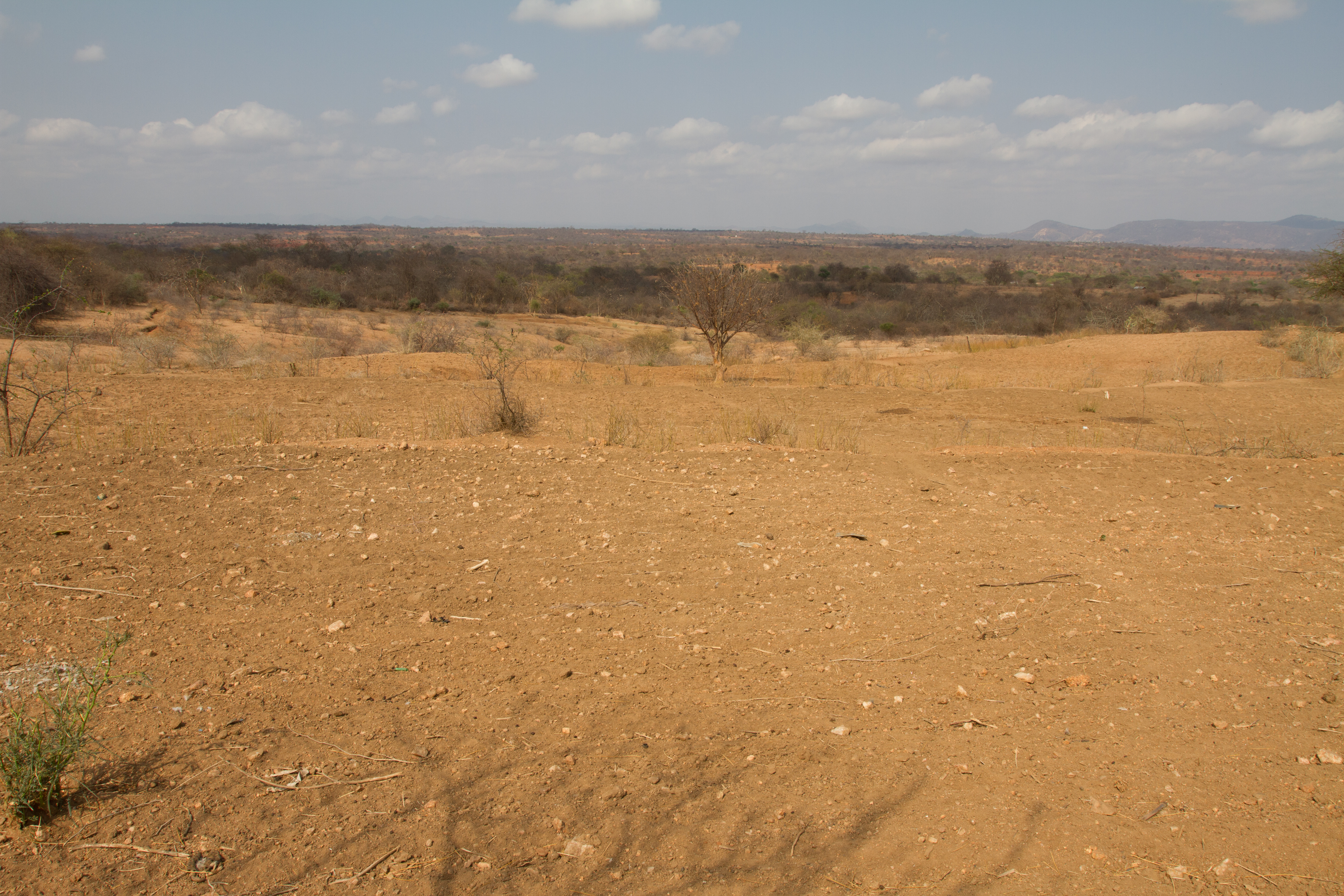Drought in Kenya