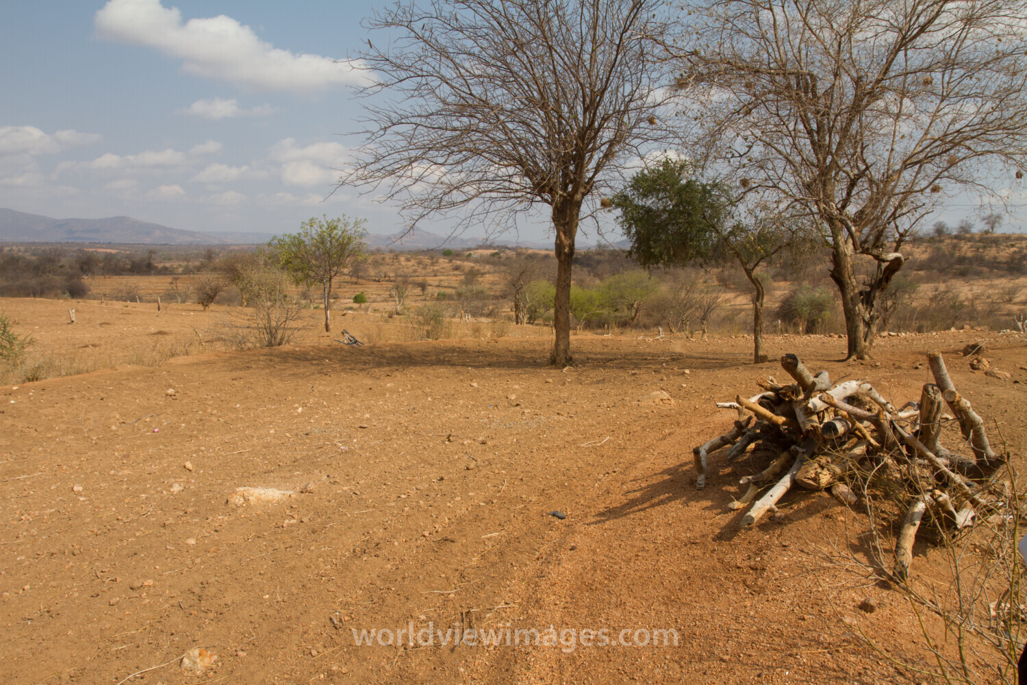 Drought in Kenya