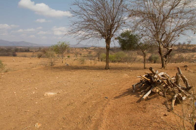 Drought in Kenya — Stock Images of Climate change in Keny leading to years of drought and desertification — Kenya, drought