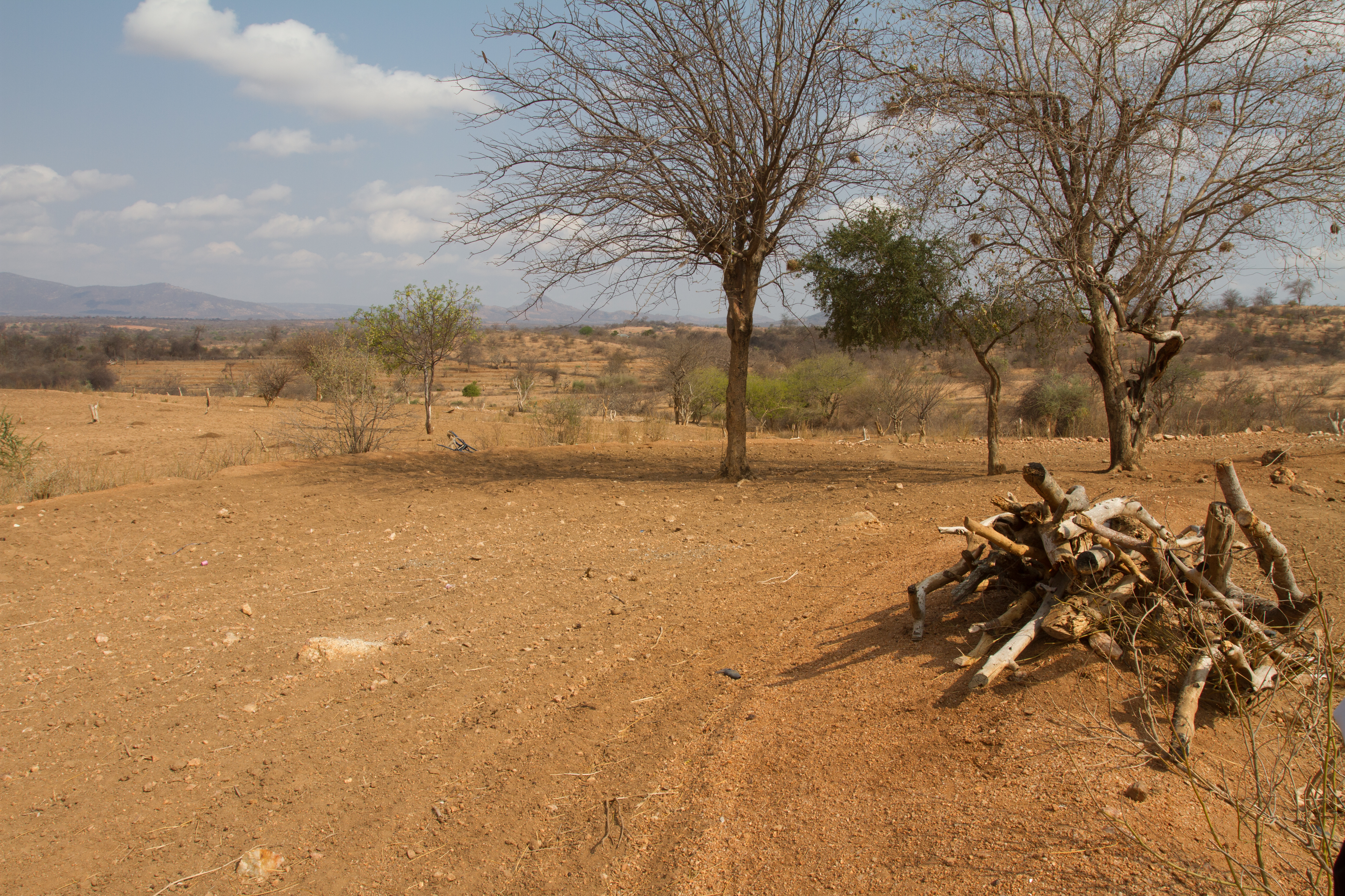 Drought in Kenya