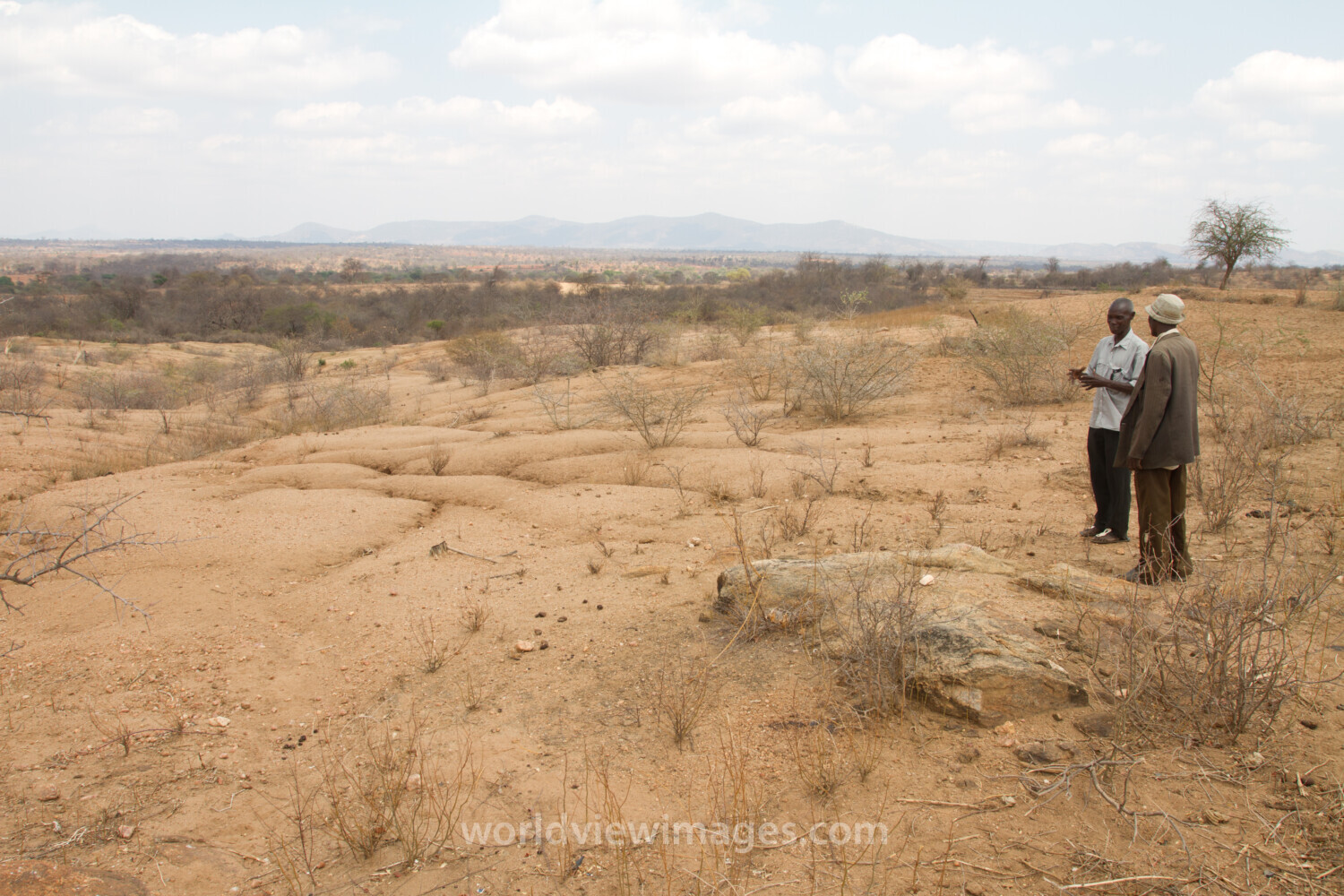 Drought in Kenya