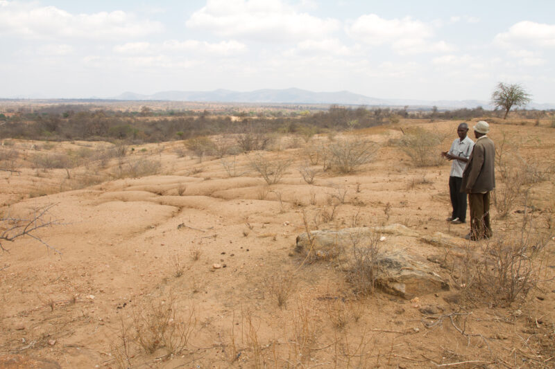 Drought in Kenya — Stock Images of Climate change in Keny leading to years of drought and desertification — Kenya, East Kenya, drought, dry, dusty