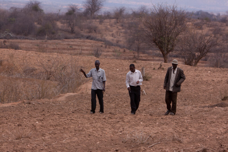 Drought in Kenya — Stock Images of Climate change in Keny leading to years of drought and desertification — Kenya, East Kenya, drought, dry, dusty