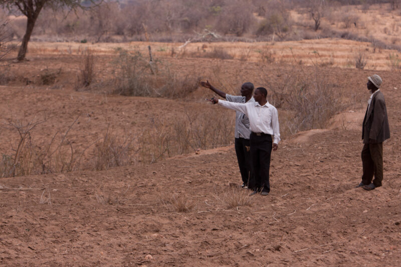 Drought in Kenya — Stock Images of Climate change in Keny leading to years of drought and desertification — Kenya, East Kenya, drought, dry, dusty