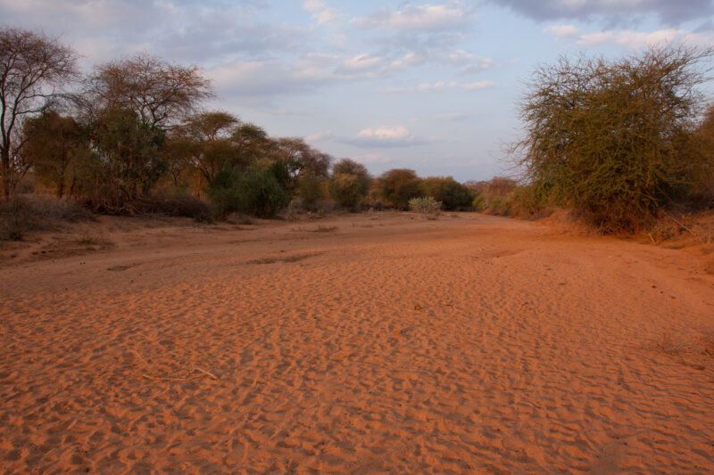Drought in Kenya — Stock Images of Climate change in Keny leading to years of drought and desertification — Kenya, Africa, drought, river, riverbed