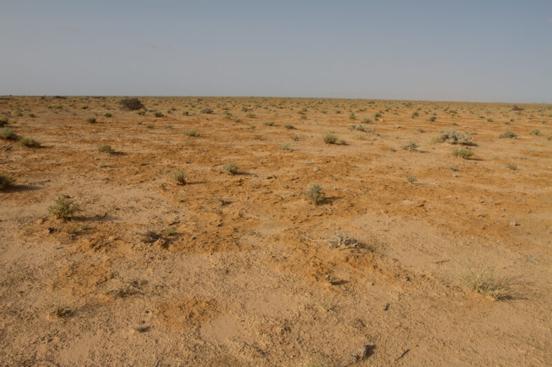 Dry Lands in Somalia — Lack of Rain causes desertification in Somalia — Africa, East Africa, Somalia, drought, famine