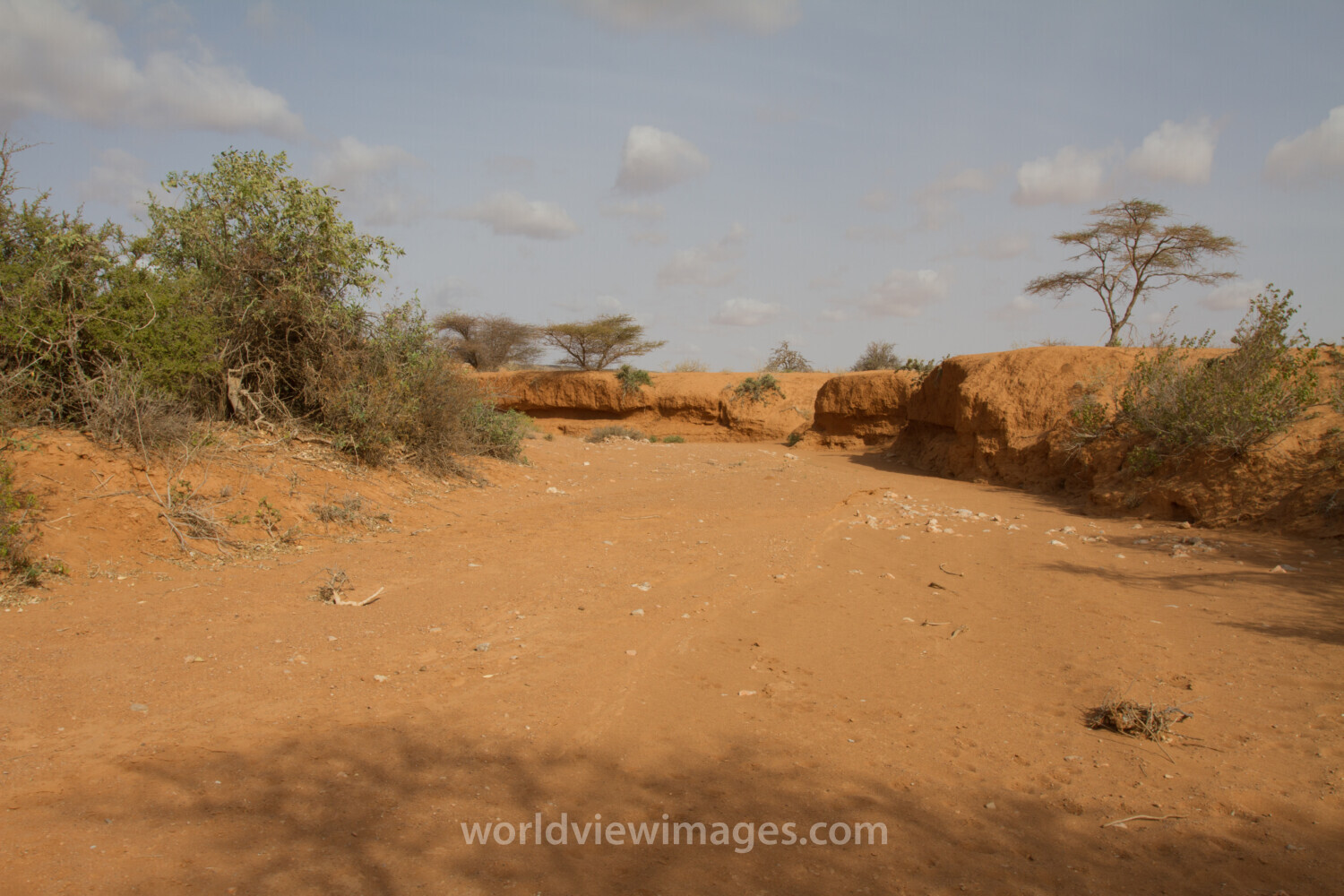 Dry Lands in Somalia