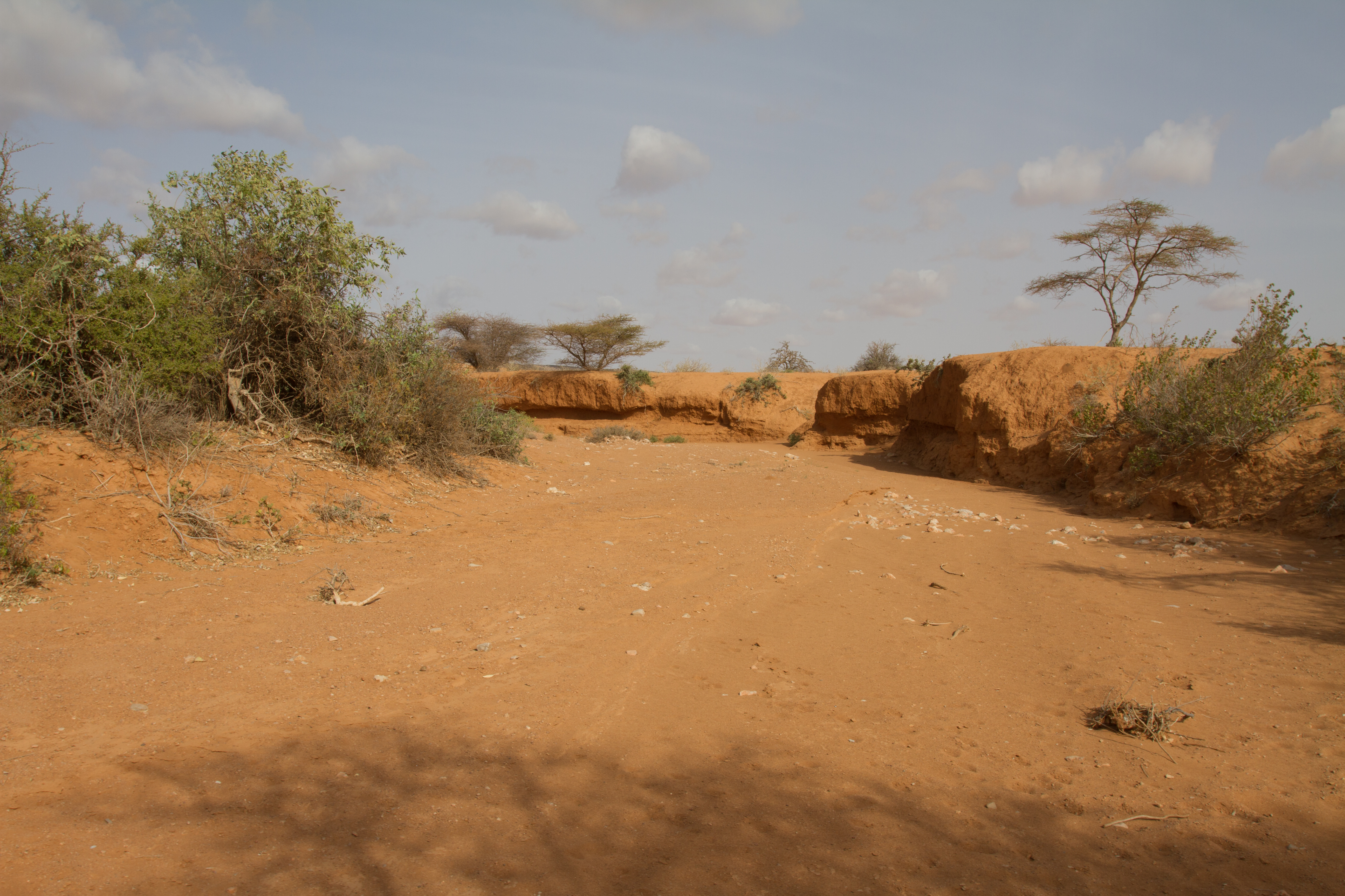 Dry Lands in Somalia