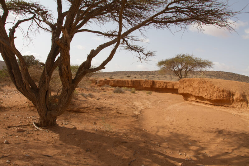 Dry Lands in Somalia — Lack of Rain causes desertification in Somalia — Africa, East Africa, Somalia, drought, famine