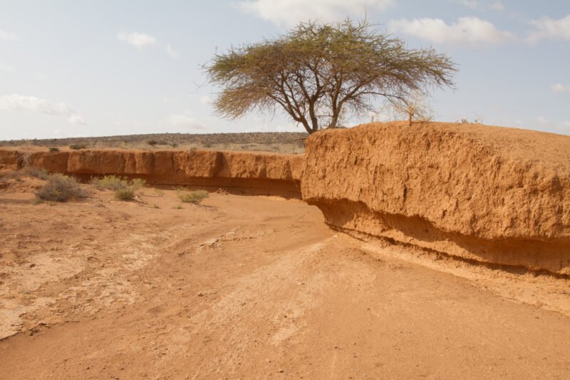 Dry Lands in Somalia — Lack of Rain causes desertification in Somalia — Africa, East Africa, Somalia, drought, famine