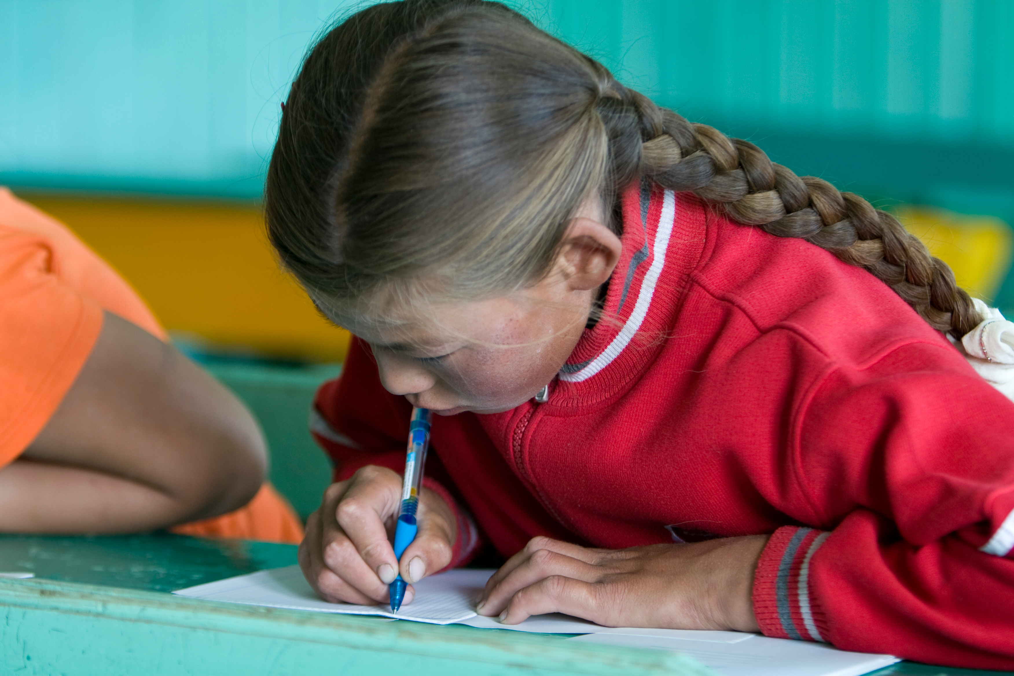 Summer School in Mongolia