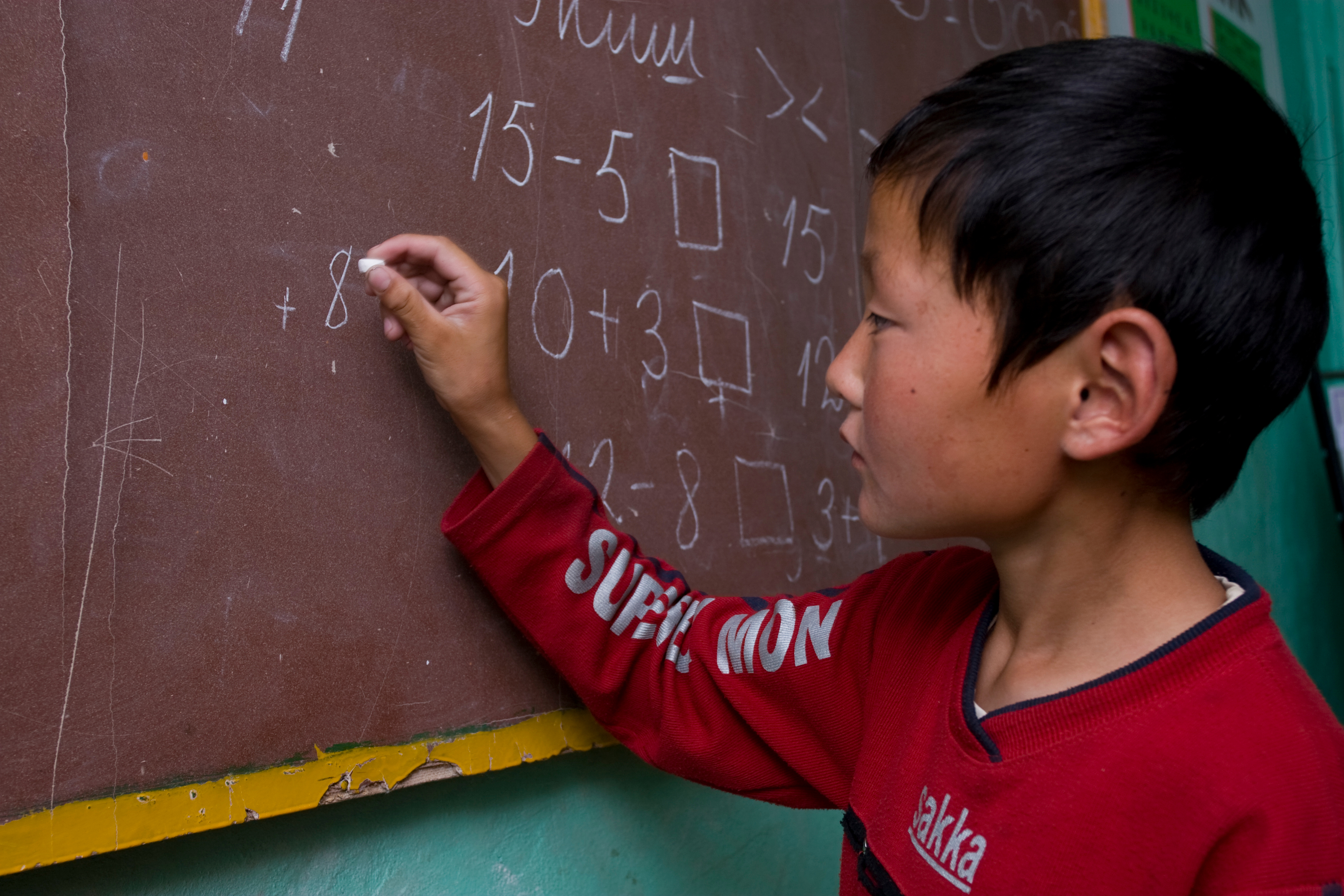 Summer School in Mongolia
