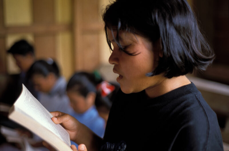 Student in School in Guyana — Amerindian students in their school in remote Guyana — Guyana, school, schools, education, children