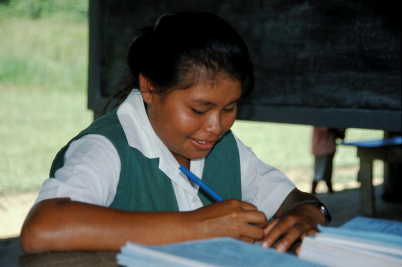 Student in School in Guyana — Amerindian students in their school in remote Guyana — Guyana, school, schools, education, children