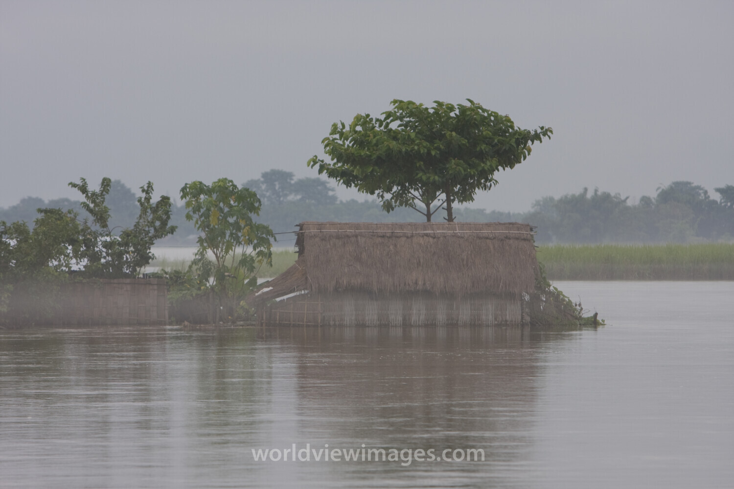 Flooding in Nepal India