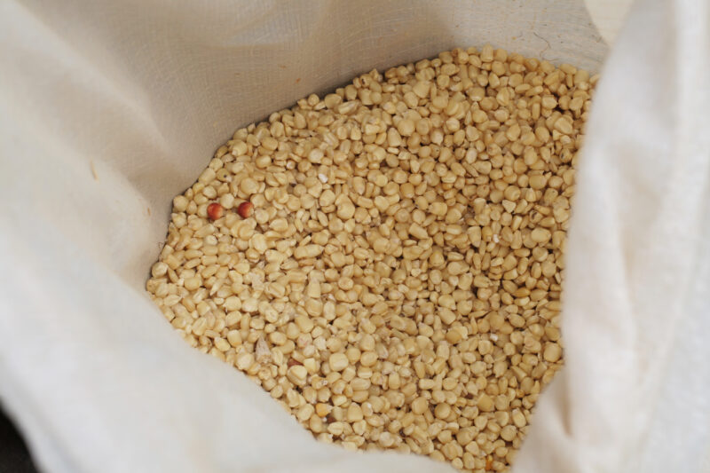 Emergency Food Distribution in Malawi — During times of natural and man-made disasters, people loose their crops, or the ability to grow food — Emergency, Di...