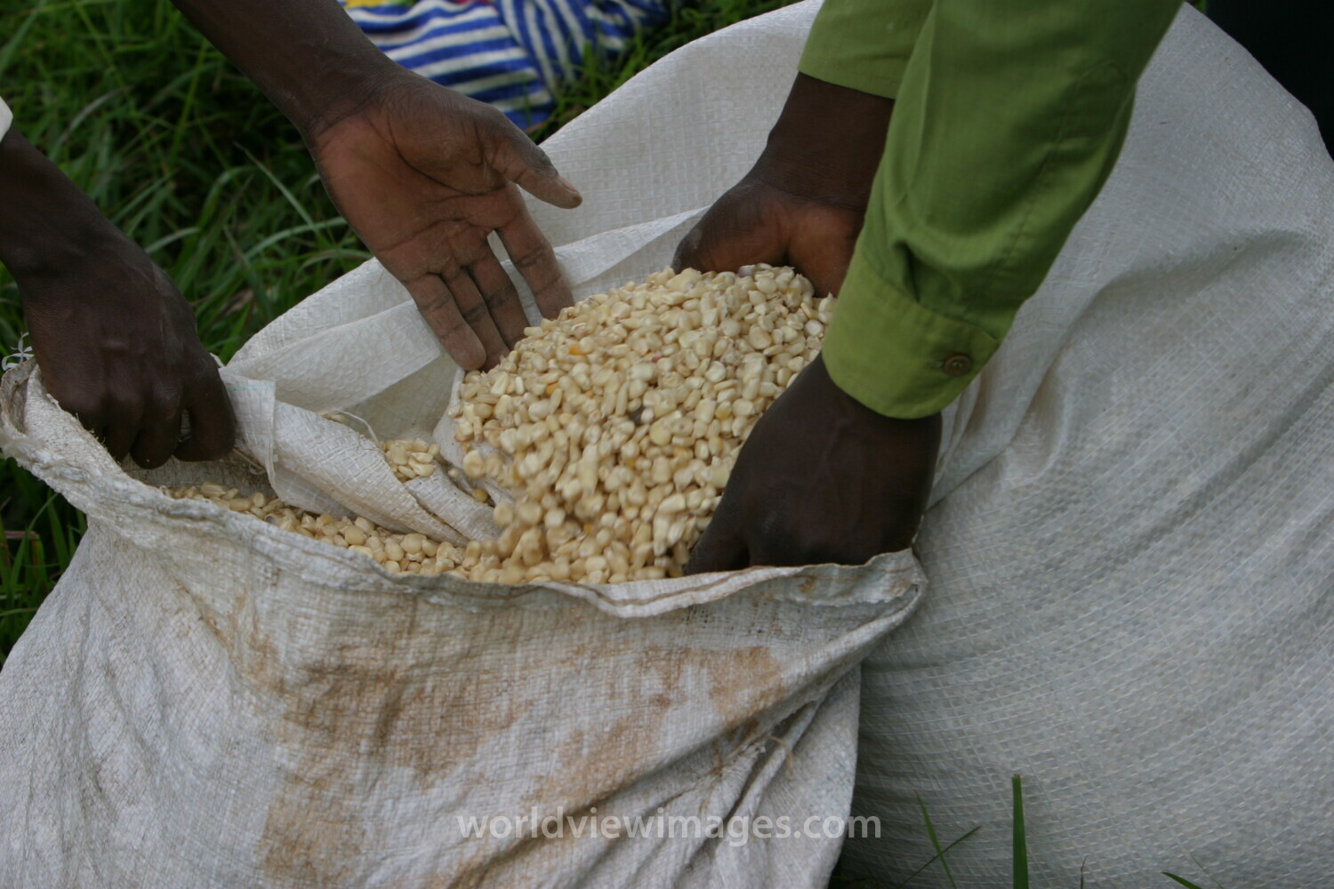 Emergency Food Distribution in Malawi
