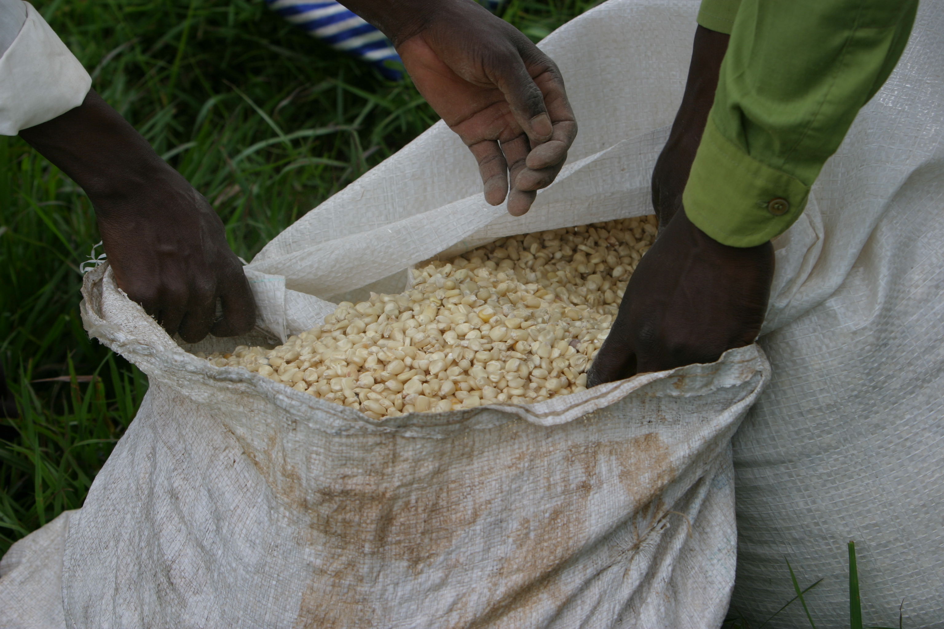 Emergency Food Distribution in Malawi
