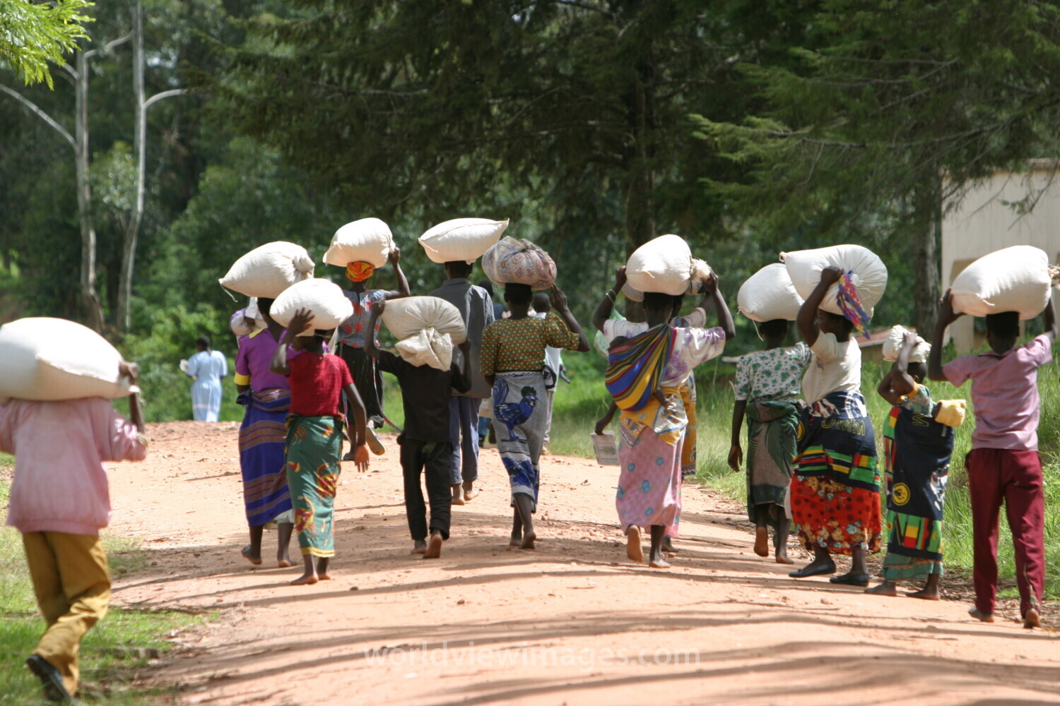 Emergency Food Distribution in Malawi