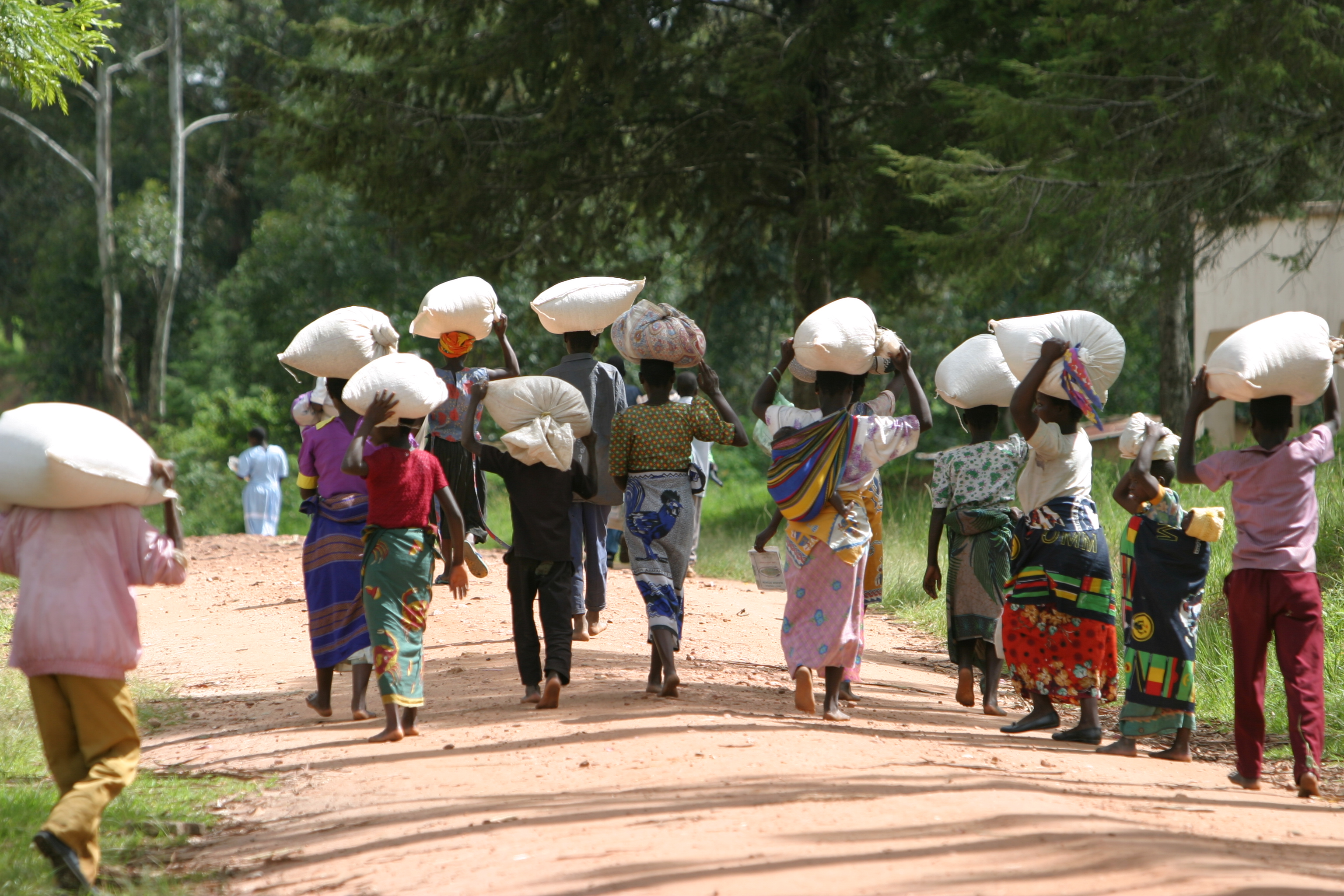 Emergency Food Distribution in Malawi