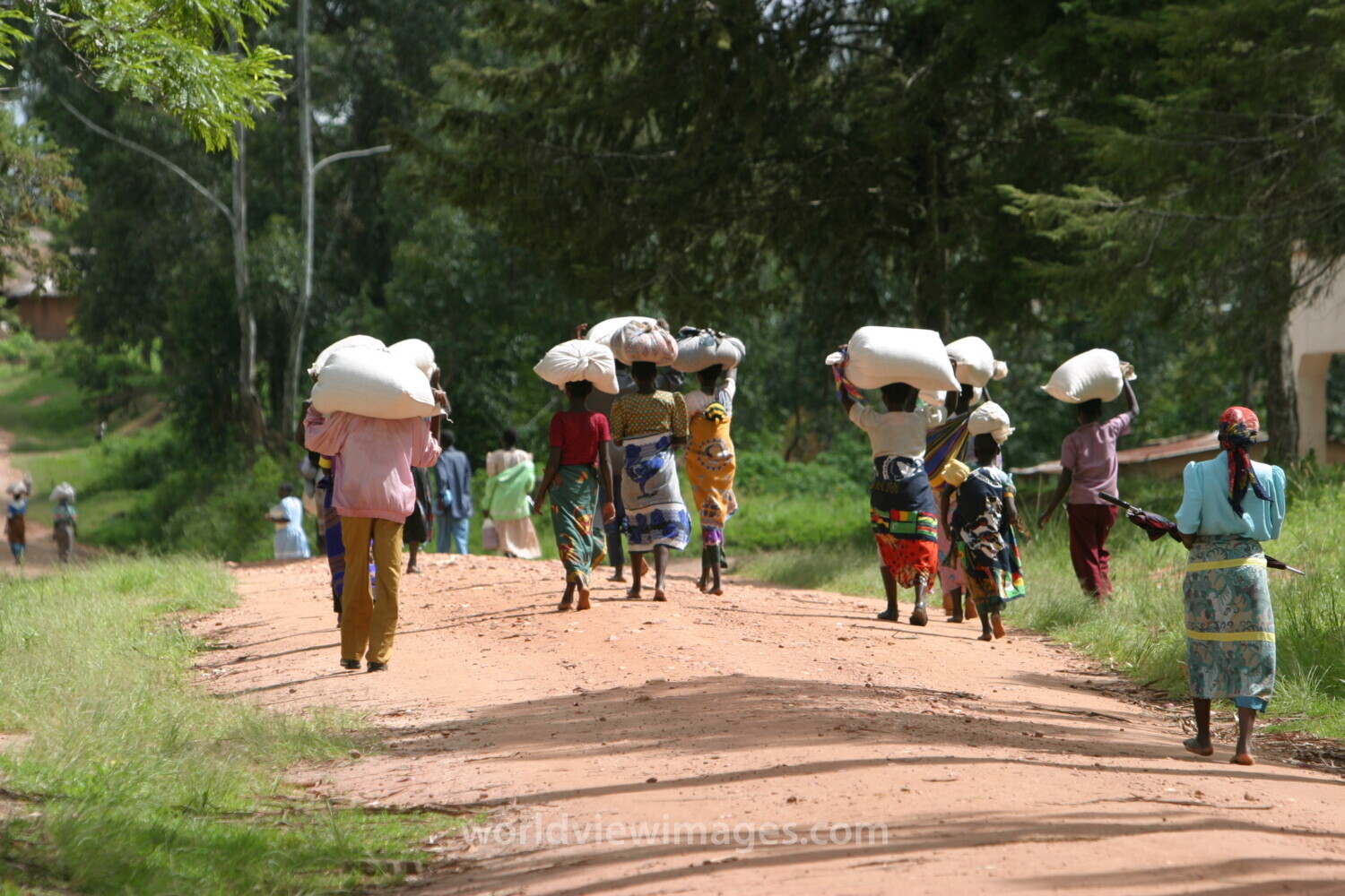 Emergency Food Distribution in Malawi