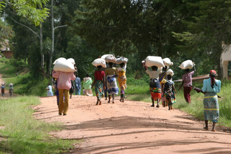 Emergency Food Distribution in Malawi — People walk home from a food distribution in Malawi, Africa — Emergency, Disaster, food security, distribution, Malawi