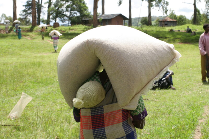 Emergency Food Distribution in Malawi — During times of natural and man-made disasters, people loose their crops, or the ability to grow food — Emergency, Di...