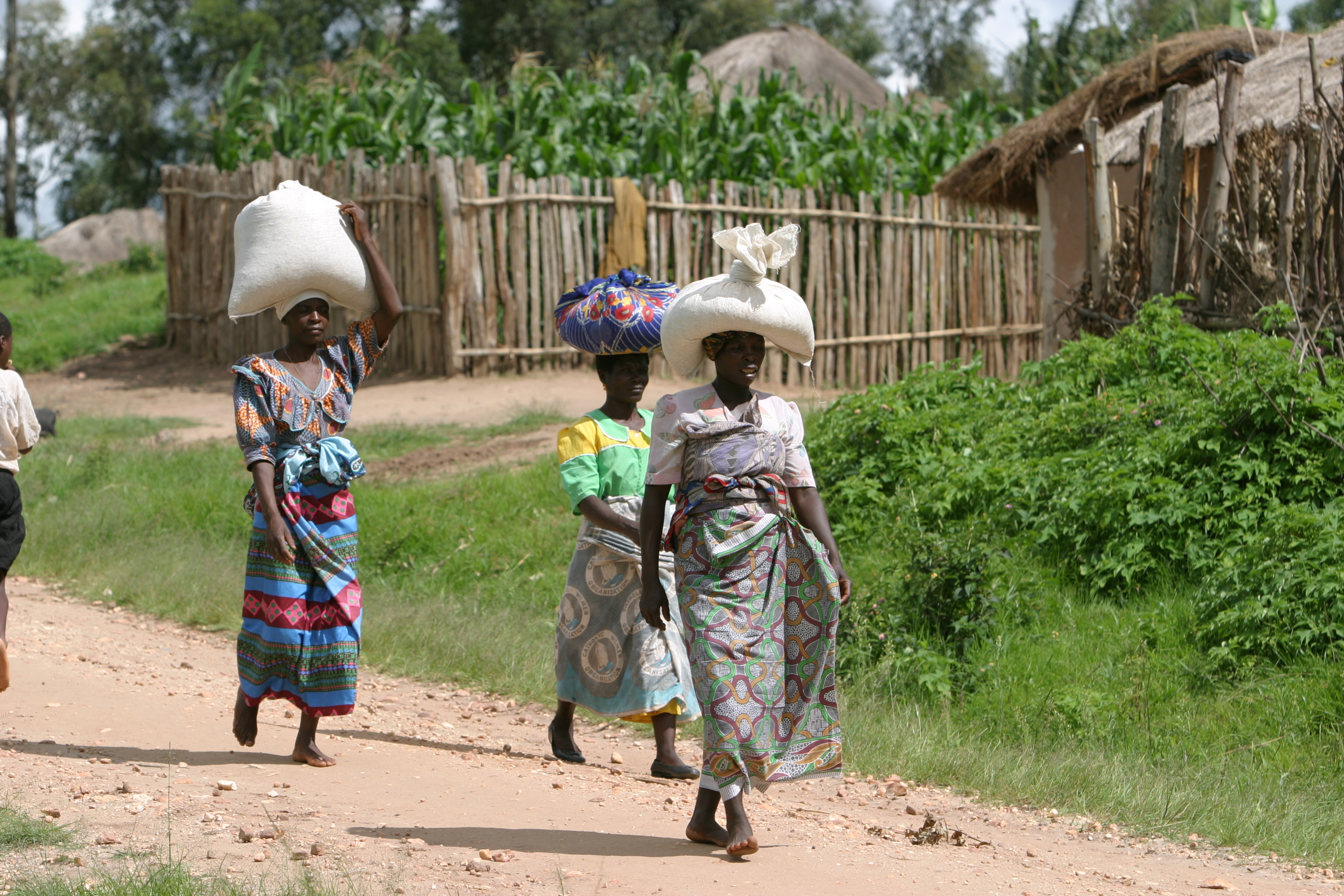 Emergency Food Distribution in Malawi