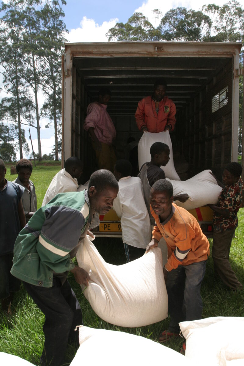 Emergency Food Distribution in Malawi — During times of natural and man-made disasters, people loose their crops, or the ability to grow food — Emergency, Di...