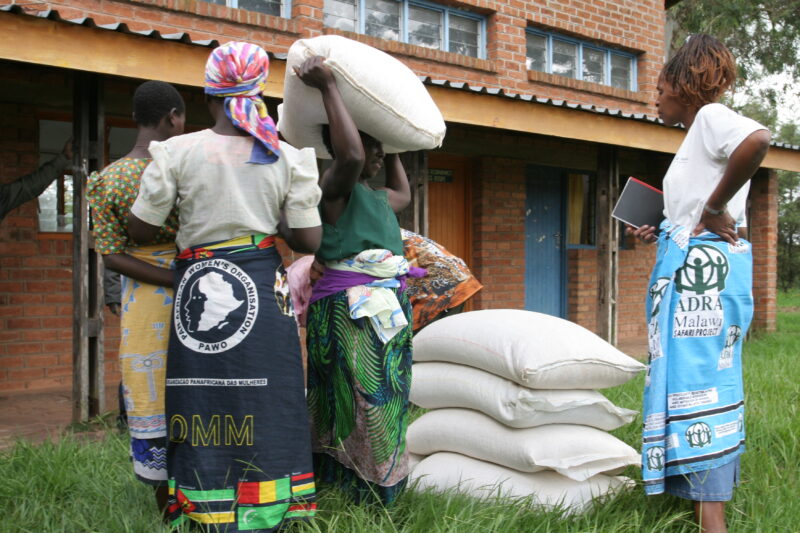 Emergency Food Distribution in Malawi — During times of natural and man-made disasters, people loose their crops, or the ability to grow food — Emergency, Di...