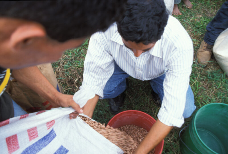 Food Assistance in Honduras — Villager receives a distibution of beans. — Emergency, Disaster, food security, distribution, Honduras