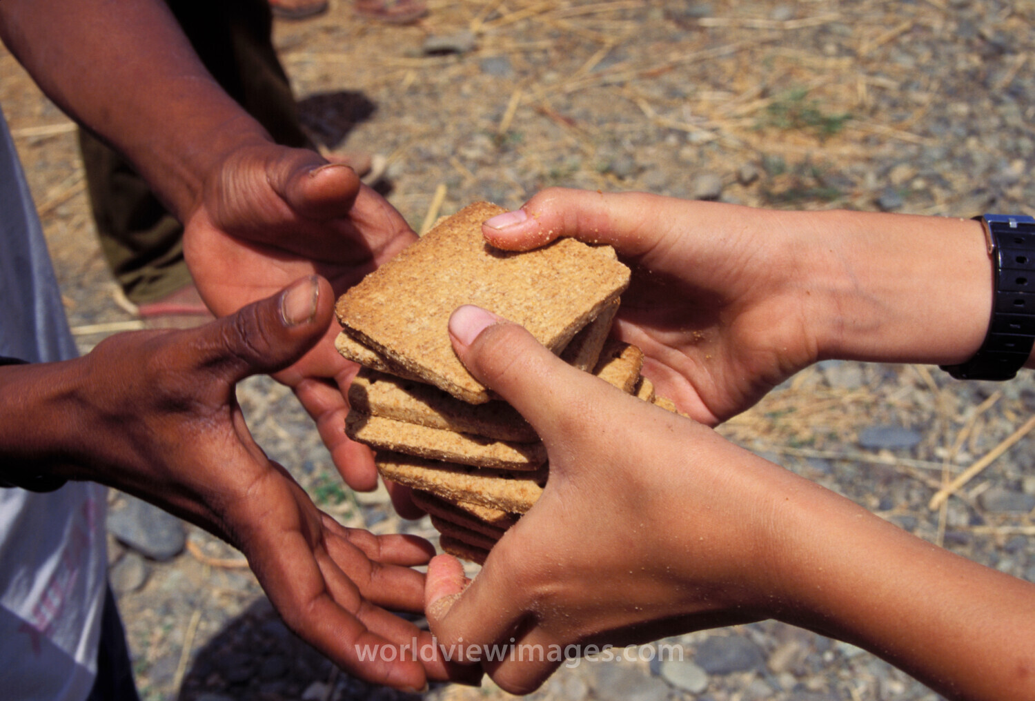 Food Aid in the Philippines