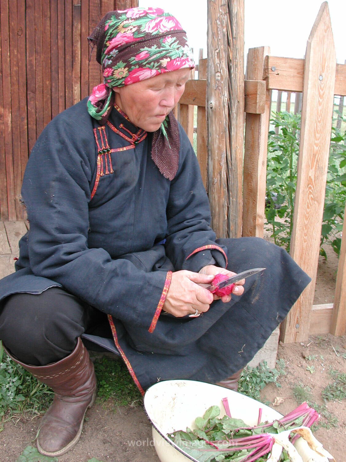 Food Processing in Mongolia