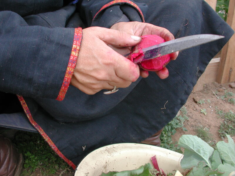 Food Processing in Mongolia — People in Mongolia learn how to grow and process food from their own gardens, in a program run by ADRA — Mongolia, ADRA, Povert...