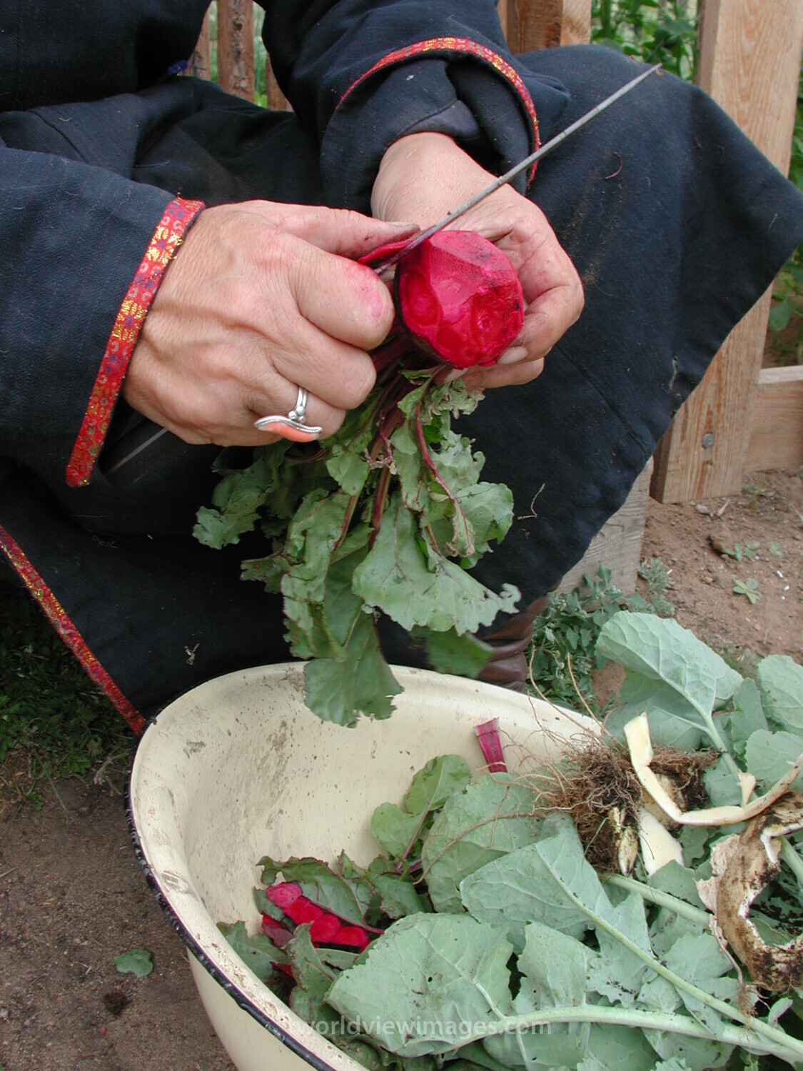 Food Processing in Mongolia