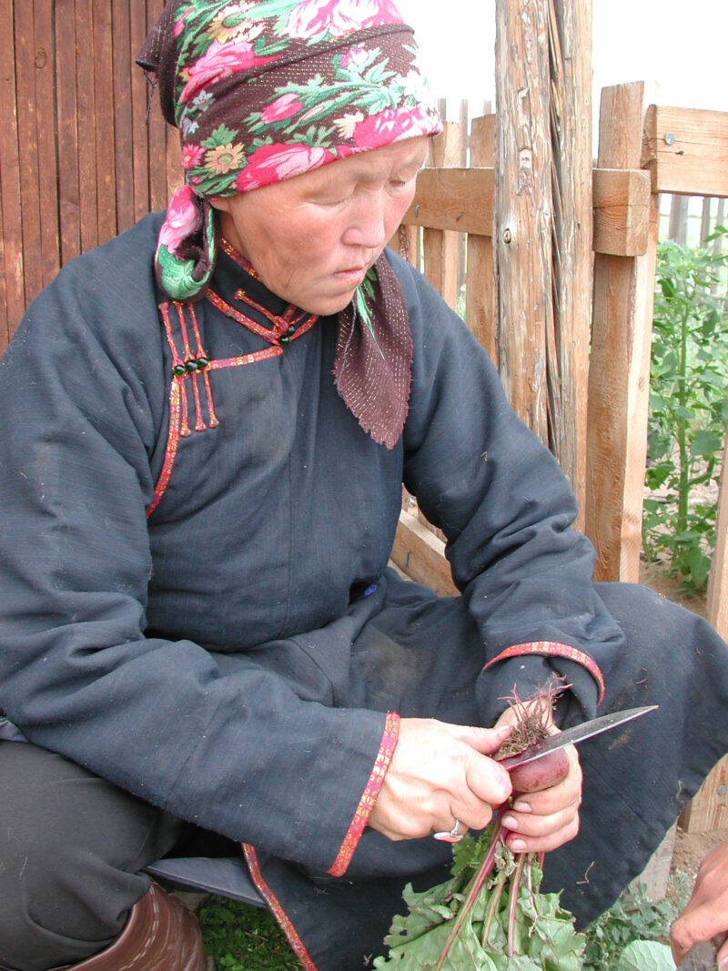 Food Processing in Mongolia — People in Mongolia learn how to grow and process food from their own gardens, in a program run by ADRA — Mongolia, ADRA, Povert...