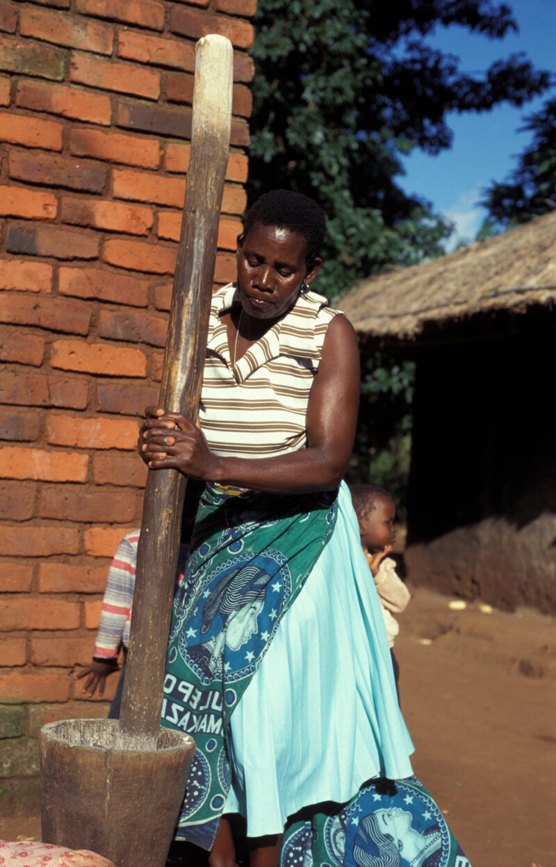 Pounding the Meal in Malawi — People in Malawi processing food — Malawi, Africa, Food Security, food, processing