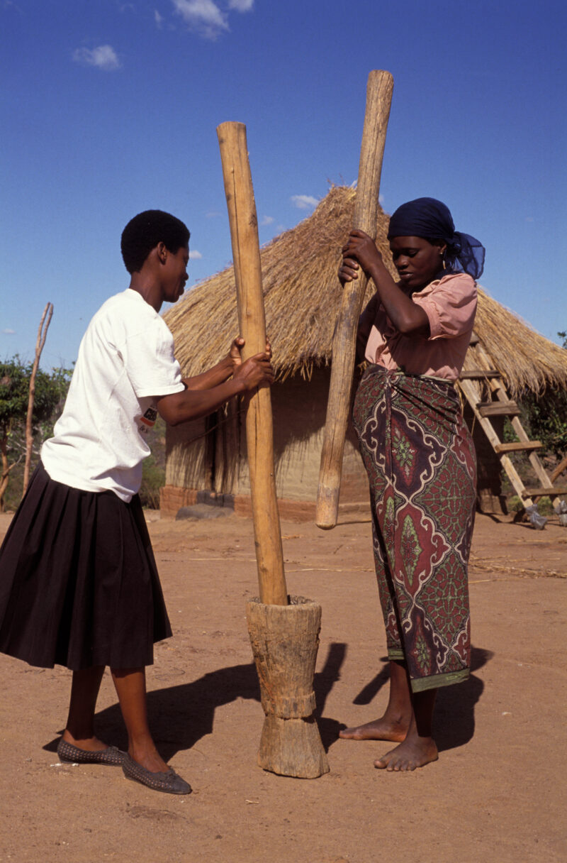 Pounding the Meal in Zambia — Two women workd together to pound maize, in to corn flour, in a rural village in Zambia, Africa — Zambia, Africa, women, woman,...