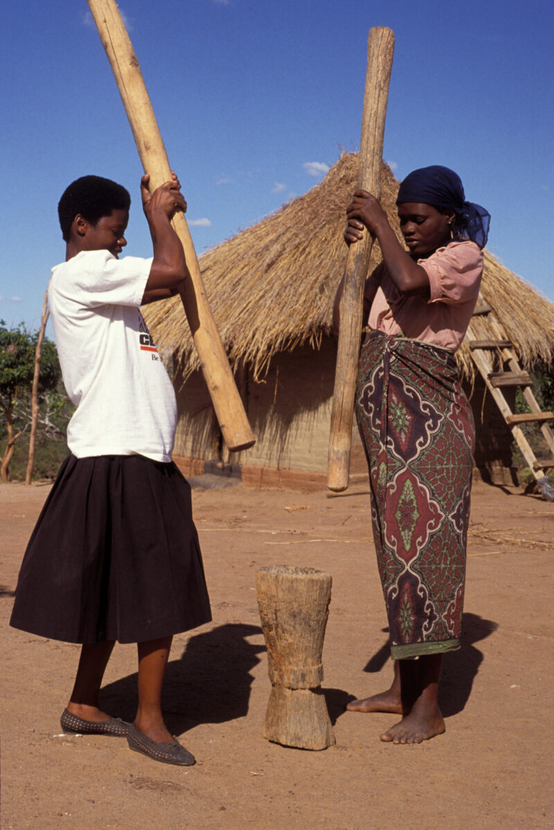 Pounding the Meal in Zambia — Two women workd together to pound maize, in to corn flour, in a rural village in Zambia, Africa — Zambia, Africa, women, woman,...