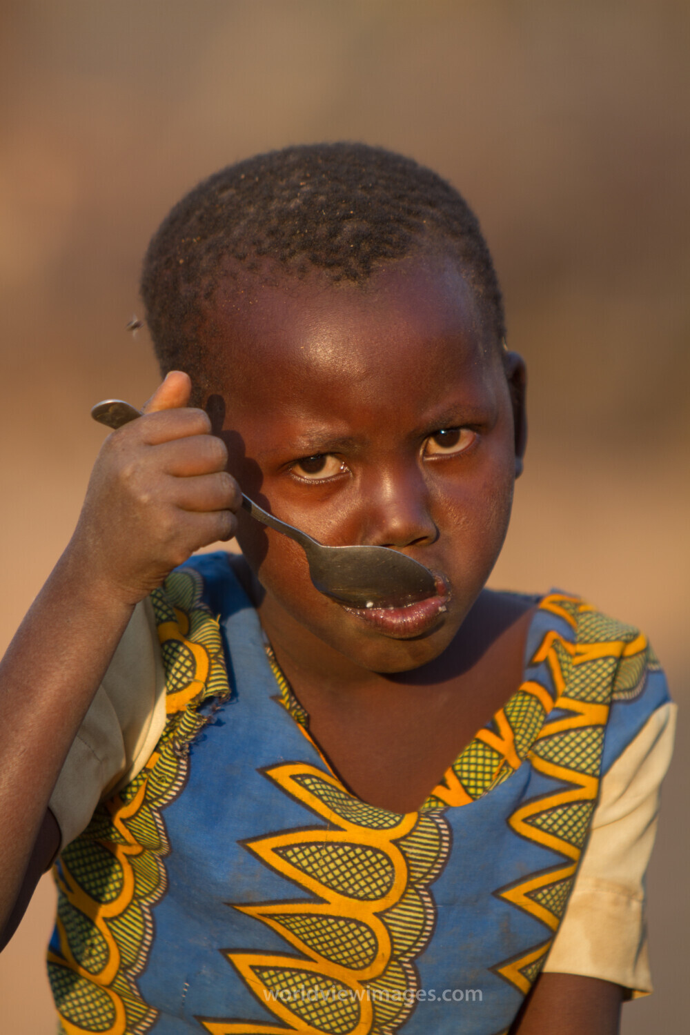 Eating Beans and Maize