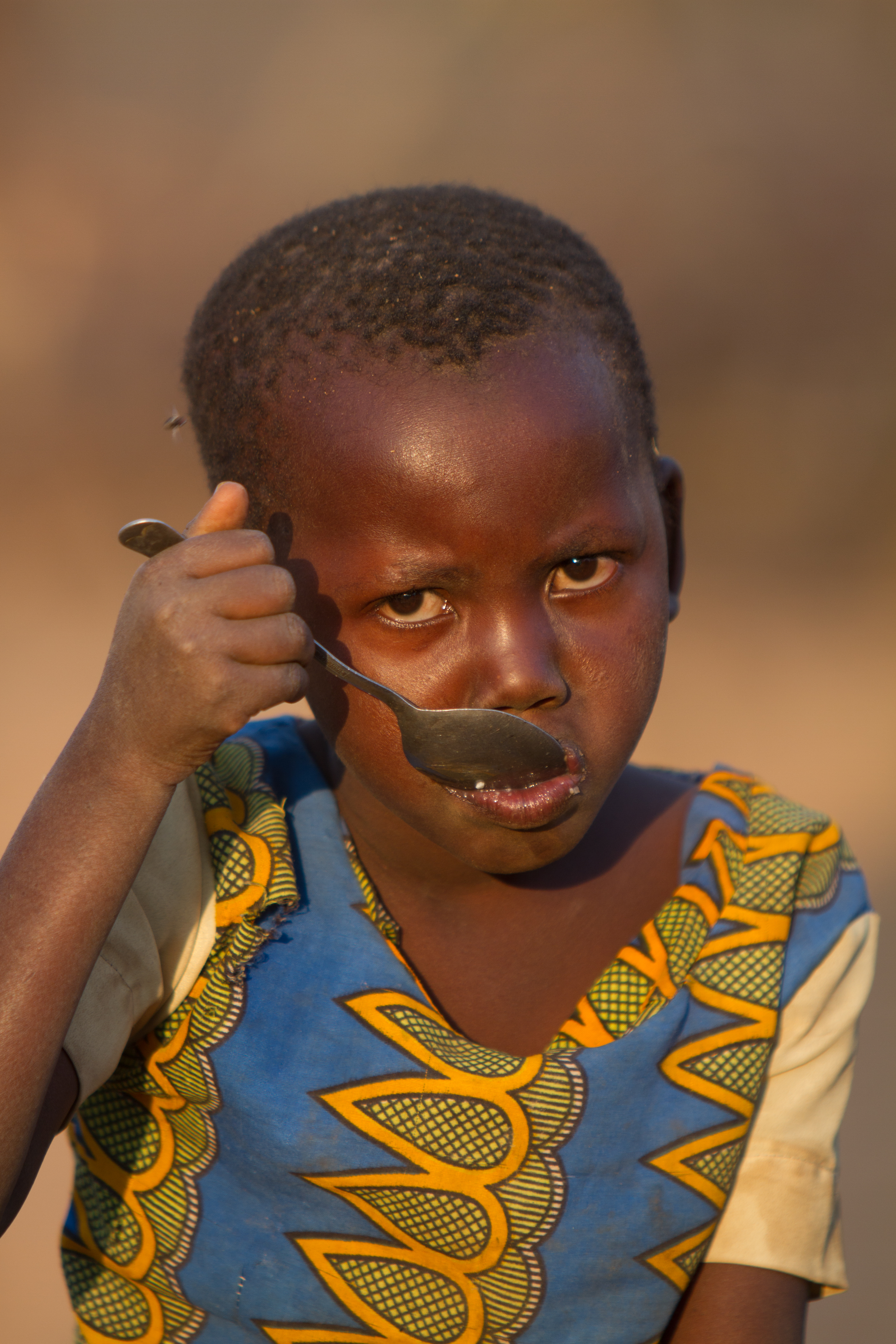 Eating Beans and Maize
