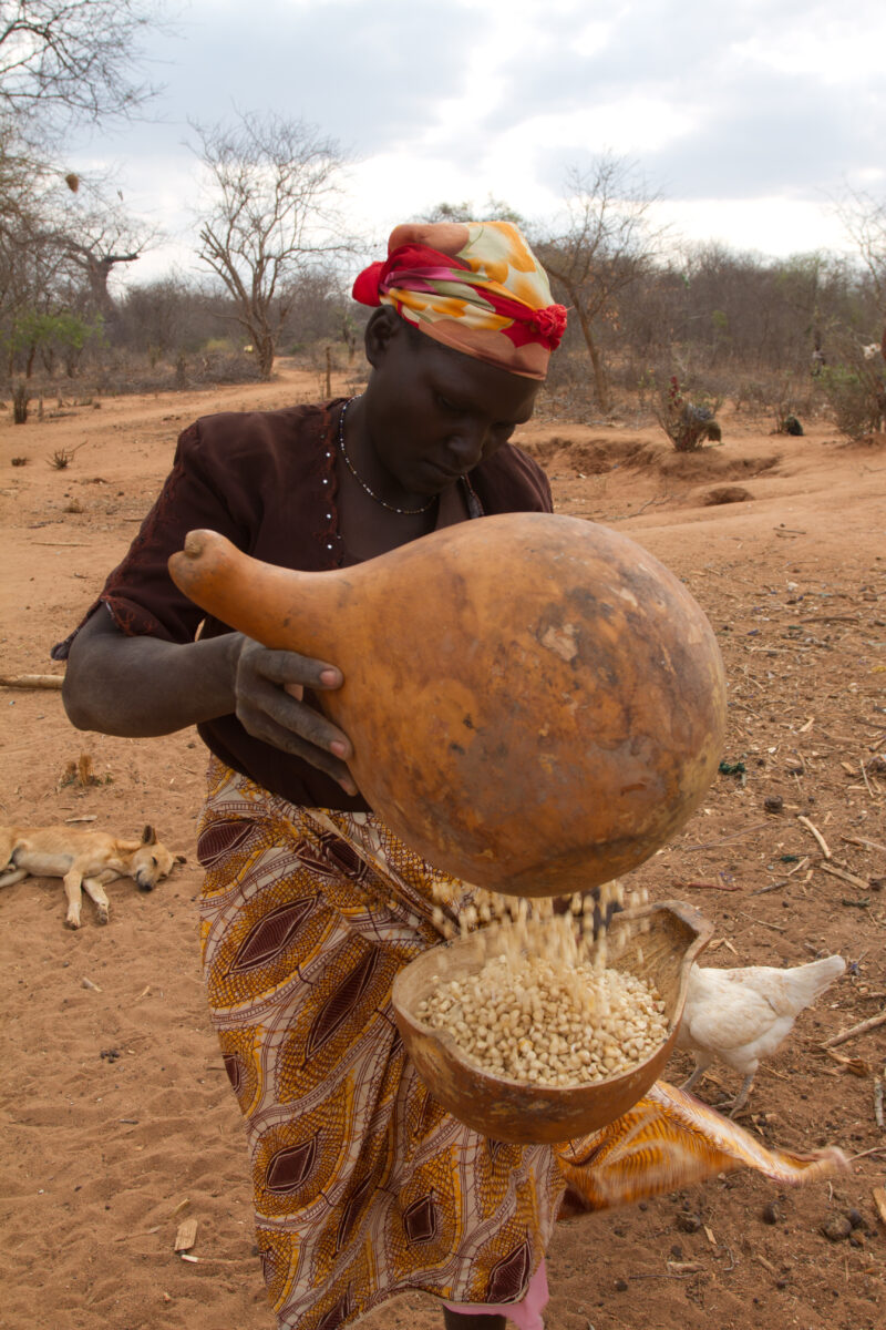 Winnowing Maize — Poor widow woman, winnows maize she has brought home from the market, before cooking it for her seven children, during a bad drought in Eas...