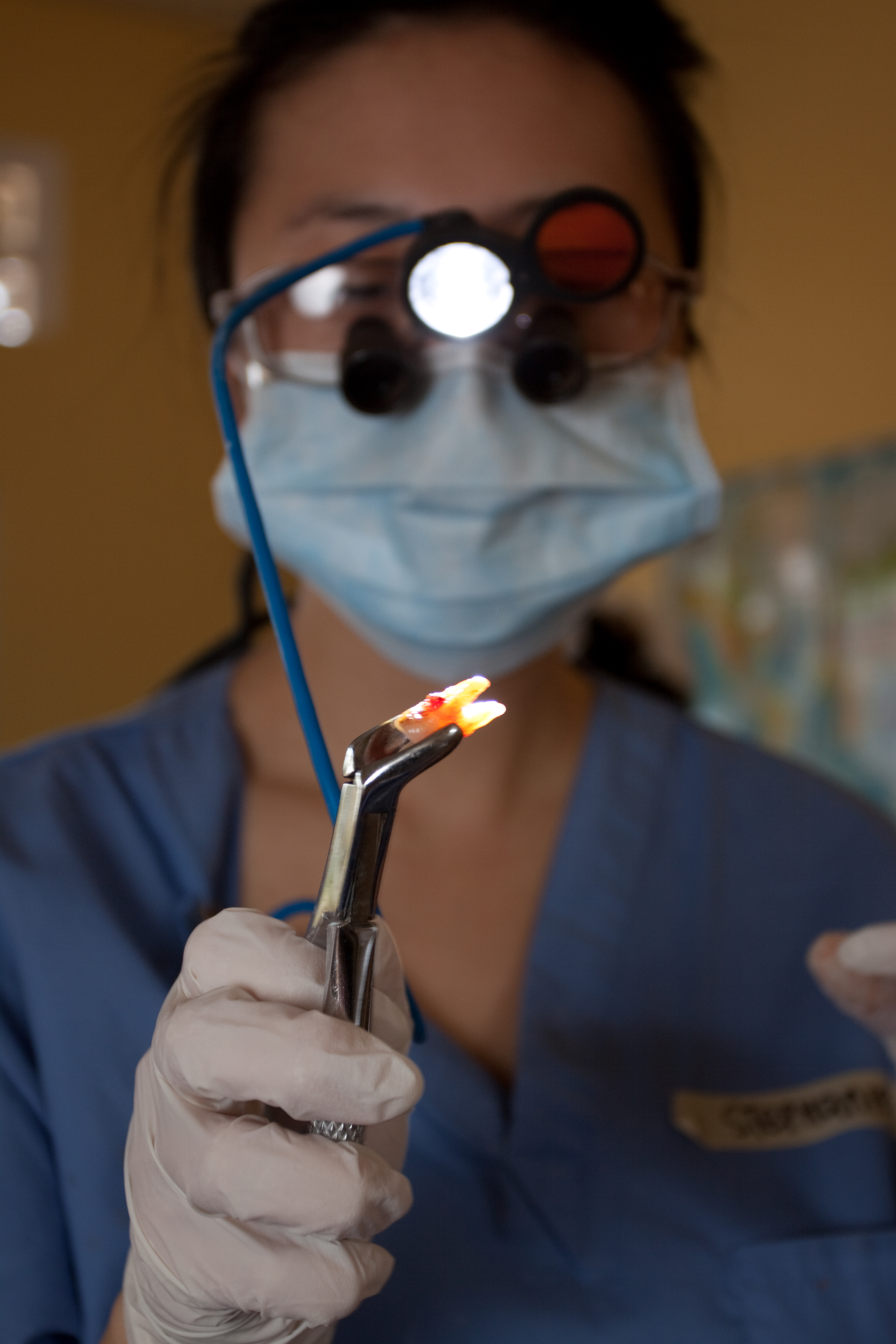 Dental Work in Cambodia