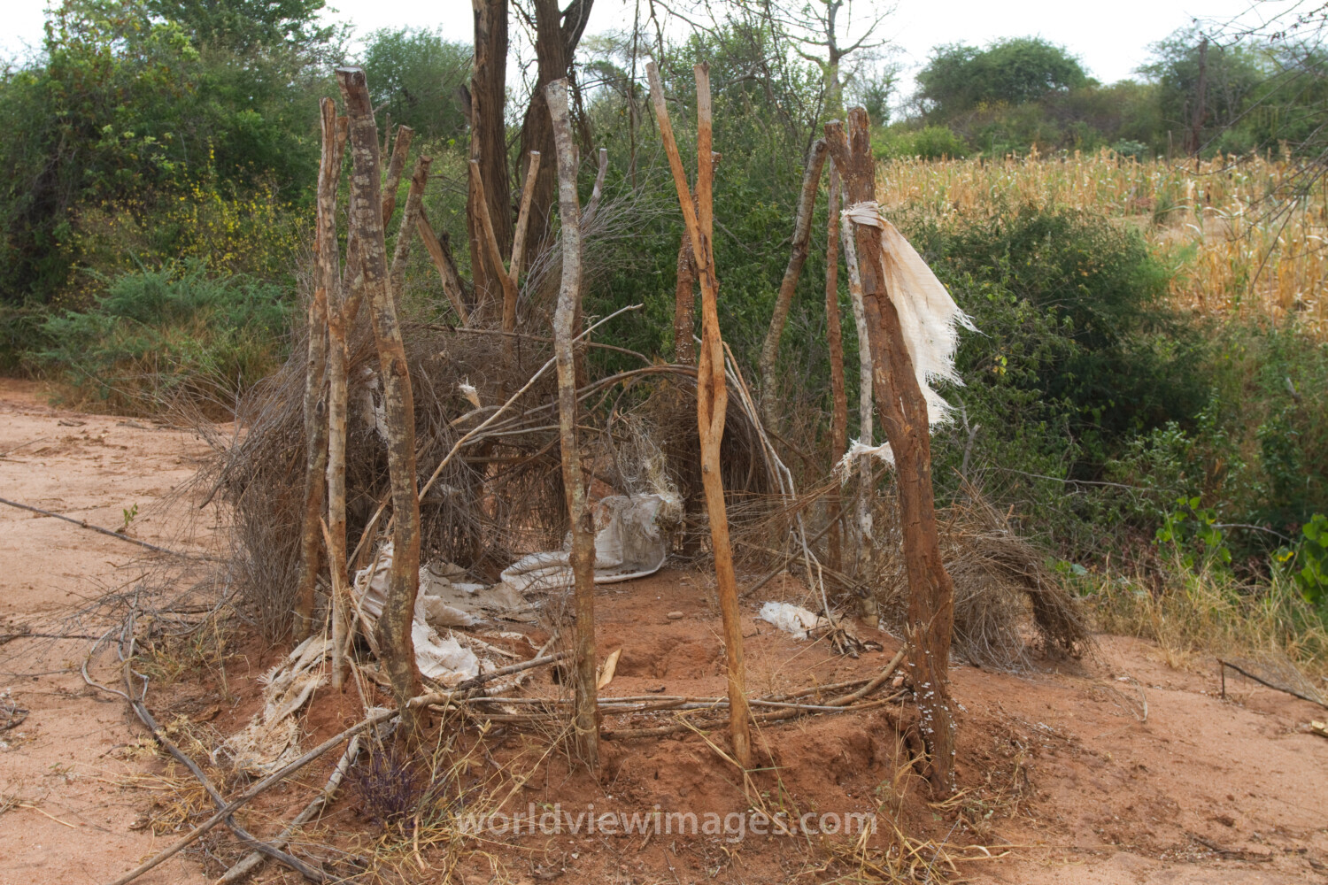 Old School Toilet in Kenya