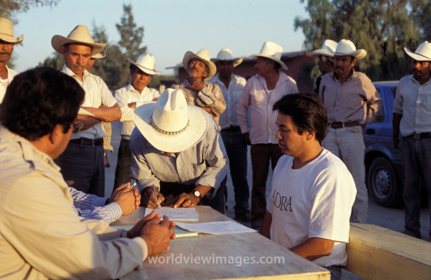 New Cowboys in Mexico