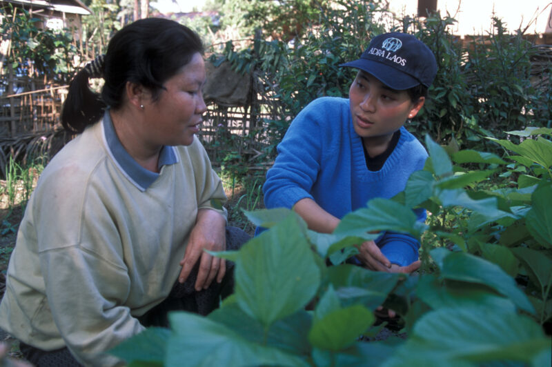 Learning the Silk Industry in Laos — In an ADRA training program, people in Northern Laos, learn how to make income from silkworm farming — Laos, Poverty, sk...